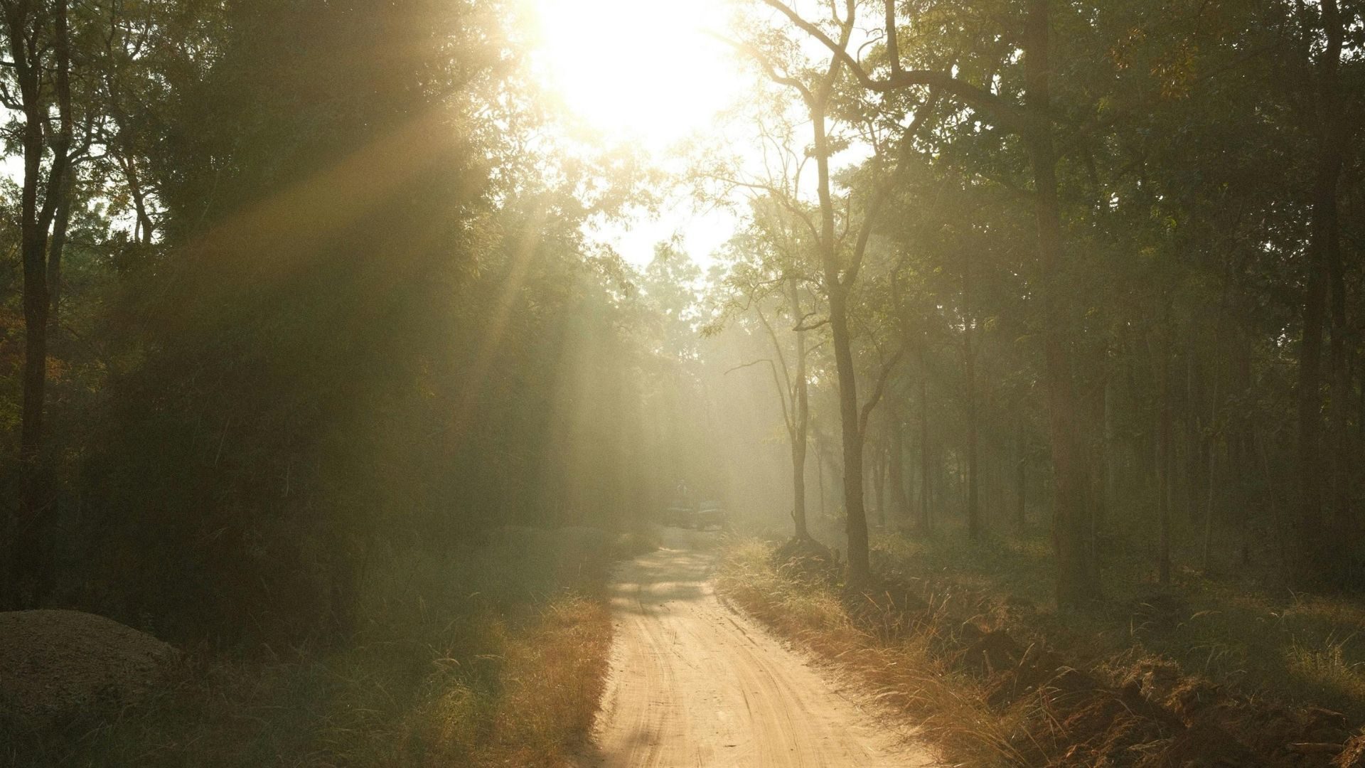 Your Journey starts with a ReSet